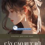 Cây Cao Rực Rỡ